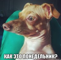  как это понедельник?