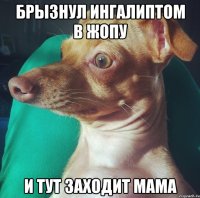 брызнул ингалиптом в жопу и тут заходит мама