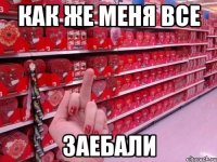 как же меня все заебали