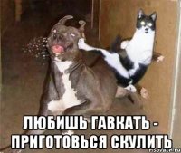  любишь гавкать - приготовься скулить