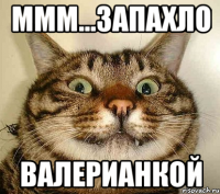 ммм...запахло валерианкой