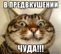 в предвкушении чуда!!!