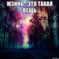 Жзинь - это такая вещь 