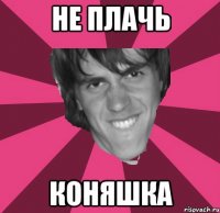 не плачь коняшка