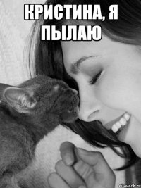 Кристина, я пылаю 