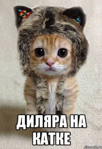  диляра на катке