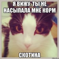я вижу, ты не насыпала мне корм скотина