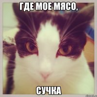 где мое мясо, сучка