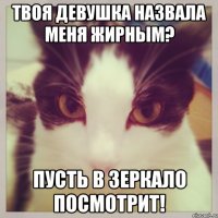 твоя девушка назвала меня жирным? пусть в зеркало посмотрит!