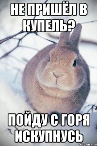 Не пришёл в купель? Пойду с горя искупнусь