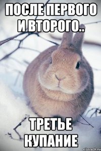 После первого и второго.. третье купание