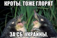 Кроты, тоже глорят за сб. Украины.