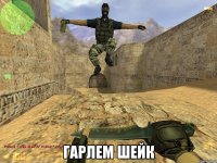  Гарлем шейк