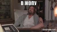 в жопу 