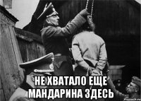  не хватало еще мандарина здесь