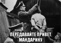  передавайте привет мандарину