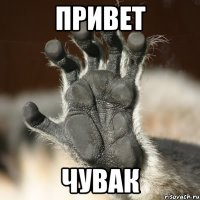 привет чувак