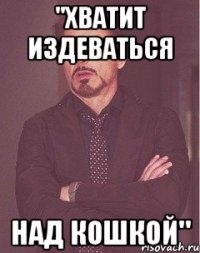 "хватит издеваться над кошкой"