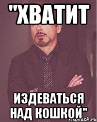 "хватит издеваться над кошкой"