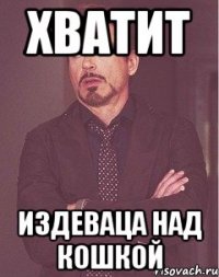 Хватит Издеваца над кошкой