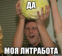 да моя литработа