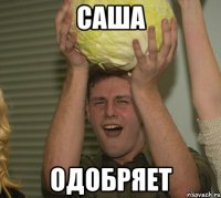 саша одобряет
