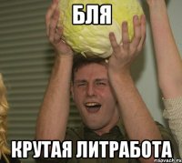 бля крутая литработа