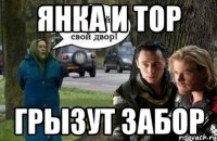 янка и тор грызут забор