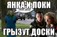 янка и локи грызут доски