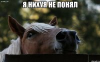 я нихуя не понял 