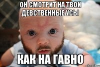 он смотрит на твои девственные усы как на гавно