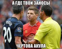 а где твои заносы чертова акула