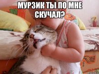 Мурзик ты по мне скучал? 