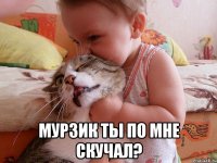  Мурзик ты по мне скучал?