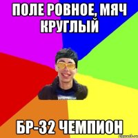 поле ровное, мяч круглый бр-32 чемпион
