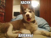 ХАСКИ АХУЕННЫ