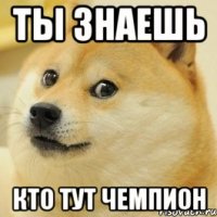 ты знаешь кто тут чемпион