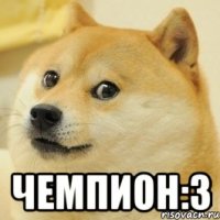  чемпион:3