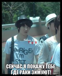  сейчас я покажу тебе, где раки зимуют!