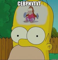 севриутут 