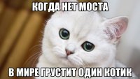 когда нет моста в мире грустит один котик