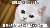 когда нет поста в мире грустит один котик