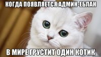 когда появляется админ-еблан в мире грустит один котик