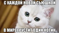с каждой новой сьюшкой в мире грустит один котик