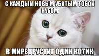 с каждым новым убитым тобой нубом в мире грустит один котик