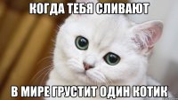 когда тебя сливают в мире грустит один котик