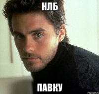 нлб павку