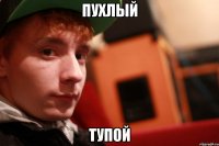 пухлый тупой