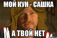 мой кун - сашка а твой нет