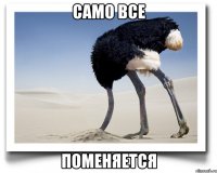 само все поменяется